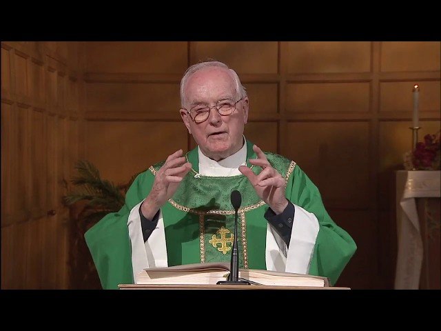 Daily Catholic Mass (DailyTVMass)