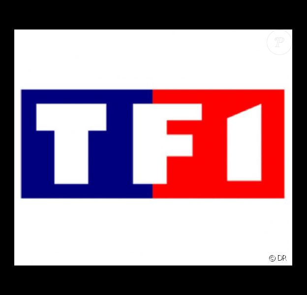 TNT : TF1 et M6 rÃ©cupÃ¨rent chacune une chaÃ®ne